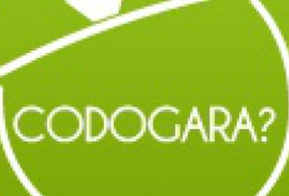 Codogara.pl – nowy serwis kulinarny zdobywa polski Internet