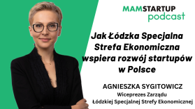 Jak Łódzka Specjalna Strefa Ekonomiczna wspiera rozwój startupów w Polsce?