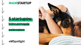 Startupy i cztery łapy. 5 spółek, które pomagają zwierzętom