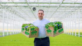 Nowości w hydroponice: projekty Smart Vegetables Innovation w ramach współpracy z NCBR