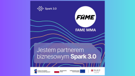 Freak fightowa federacja FAME MMA zaprasza do współpracy startupy