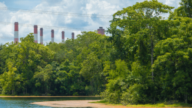 Banki ścigają się na ekologię. ING udostępnia darmowy kalkulator śladu węglowego dla każdego