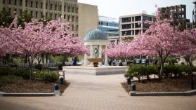 Amazon przejmuje kampus uniwersytecki w Wirginii. Gigantyczna inwestycja w infrastrukturę AI