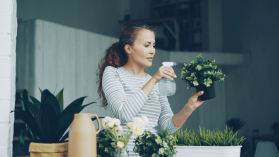 Zielono im! Foodsi i Leroy uratują jeszcze więcej roślin