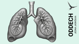 Jedna jaskółka: Oddech