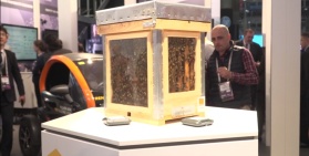 Innowacyjne technologie pomogą uratować pszczoły
