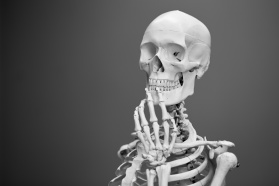 Polscy naukowcy opracują materiał imitujący ludzką kość, który uzupełni nawet 12-centymetrowy ubytek i zapewni szybkie zrastanie kości