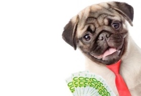 Firma Selecta HTC z branży zoologicznej szuka partnera biznesowego, właścicielka nie wyklucza sprzedaży marki