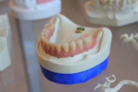 Już wkrótce będzie można wyhodować nowy, zdrowy ząb w zaledwie 9 tygodni