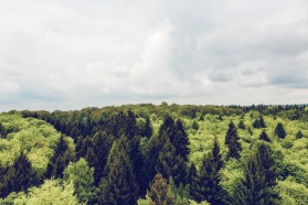 Google uruchamia akcelerator dla startupów zajmujących się zmianami klimatu