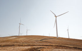 Pomyślne wiatry dla branży OZE. Jak startupy napędzają energetykę wiatrową?