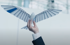 Niemiecka firma stworzyła bioniczne ptaki