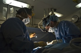 Polski startup pozwoli chirurgom „zajrzeć” w komórki serca w trakcie jego operacji