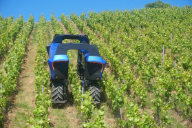 Firma Vitibot, produkująca elektryczne roboty do uprawy winorośli, zdobyła 11 milionów euro