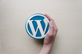 WordPress jako platforma dla MVP projektu