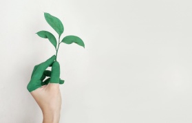 Fundusz Gatesa wesprze ekologiczne startupy