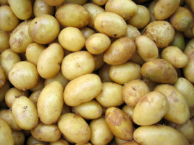 Grupa Azoty z Opakometem wyprodukuje biodegradowalne opakowania z ziemniaków. 300 ton na rok