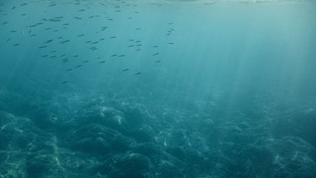 Vinci planuje ekspansję w sektorze offshore. Fundusz z grupy BGK chce przejąć dostawcę badań morskich