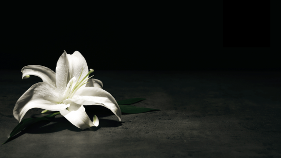 Aura Funerals pozyskuje 905 tys. EUR. Planowanie ostatniego pożegnania ma być łatwiejsze