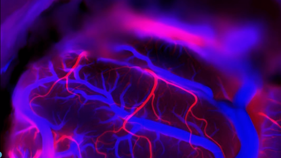 Neuralink pozyskuje 600 mln dolarów. Wycena firmy Muska rośnie do 9 mld dolarów
