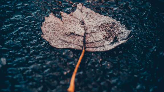 Załamanie pogody dla climattechów: inwestycyjny niż może wpędzać w depresję. Spadek o 75% w I połowie 2025 r.