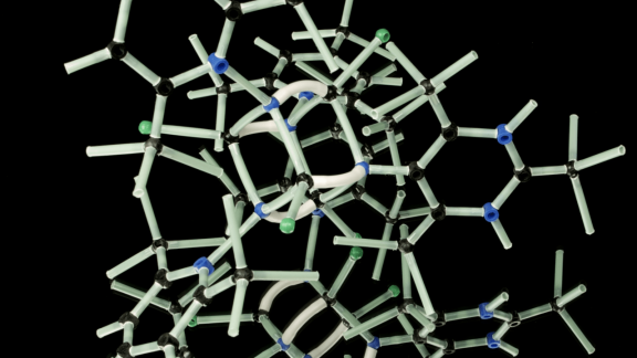 One Biosciences pozyskuje 15 mln EUR na rozwój technologii precyzyjnej onkologii – wśród inwestorów Adamed
