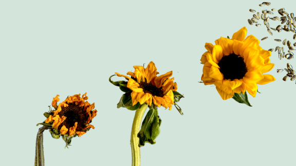 Czy śmierć to tylko błąd w kodzie? Wizjonerzy, startupy i wyścig po nieśmiertelność