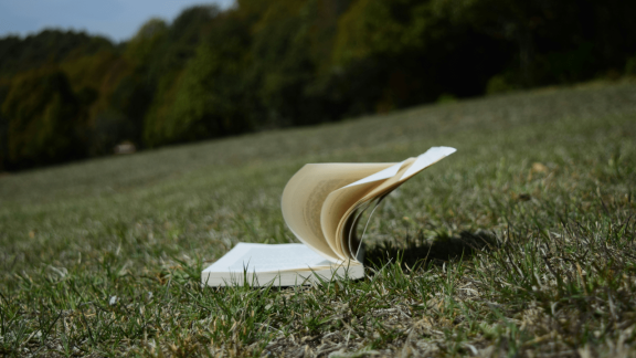 Dlaczego nie czytam książek polskich founderów?