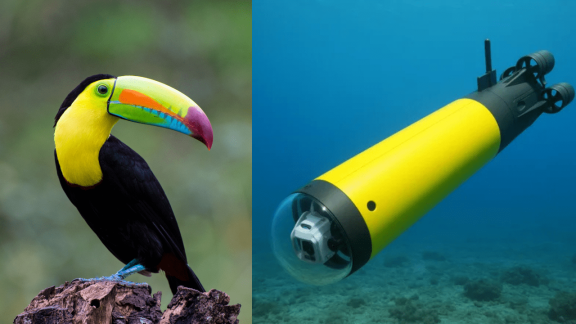 Podwodny TUKAN wzmocni Marynarkę Wojenną i posprząta Bałtyk z min