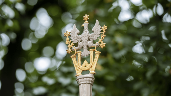 Przełom w walce z alergiami pokarmowymi? UW i The Heart komercjalizują innowacyjną terapię