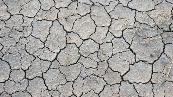 Droższy prąd i brak wody ukrytą ceną postępu technologicznego. Wrze wokół budowy nowych centrów danych w USA