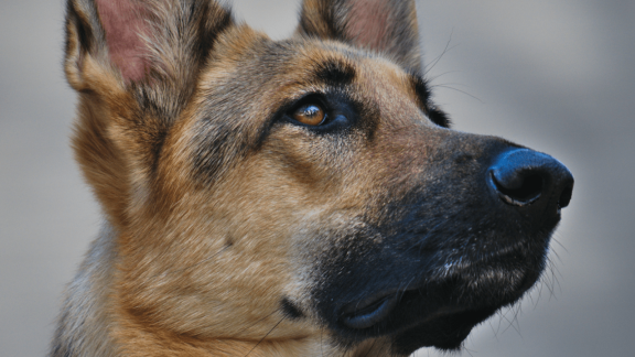 Polska będzie miała nowego „szeryfa” od algorytmów