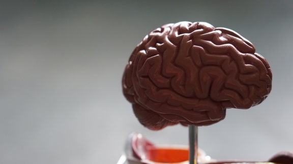 Opracowane przez Polaków urządzenie BioVR sprawdzi pracę mózgu, pomoże w koncentracji i zbada przygotowanie do zawodu