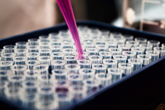Naukowcy z wrocławskiej spółki Biotts tworzącą autorskie nośniki leków w oparciu o ekstrakty pochodzenia naturalnego