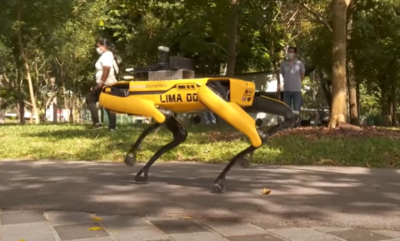 Pies-robot o imieniu Spot patroluje park w Singapurze i przypomina spacerowiczom o zachowaniu dystansu