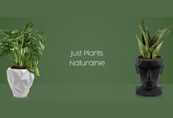 Wystartował JustPlants – platforma e-commerce  z roślinami doniczkowymi od Plantwear
