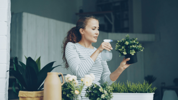 Zielono im! Foodsi i Leroy uratują jeszcze więcej roślin