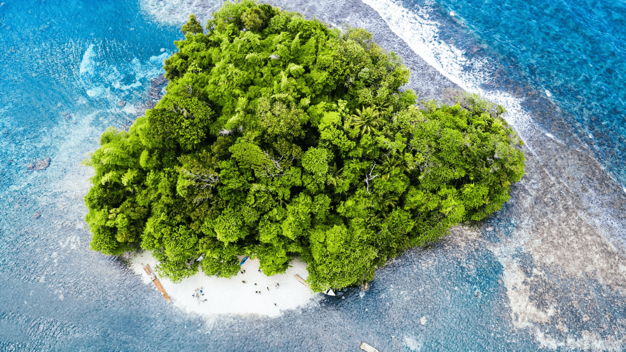 Na świecie inwestycje zwalniają. Polska "zieloną wyspą" dla VC?