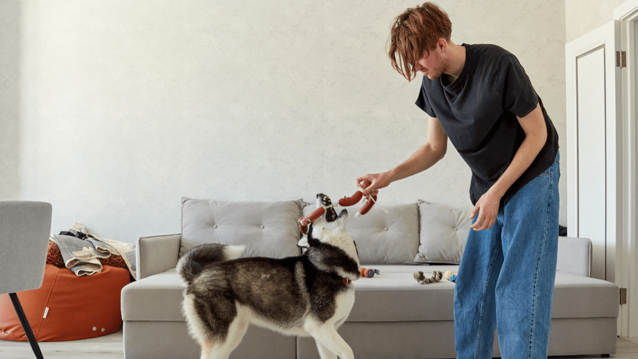 Biznes po kobiecemu: stwórz projekt pomocy zwierzętom, przetrwaj szczyt samoizolacji i wraz z nim falę imigracji