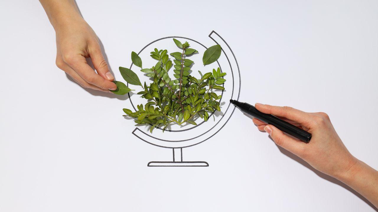 Jak być bardziej atrakcyjnym startupem dla VC? Pomyśl o ESG przy każdej rundzie