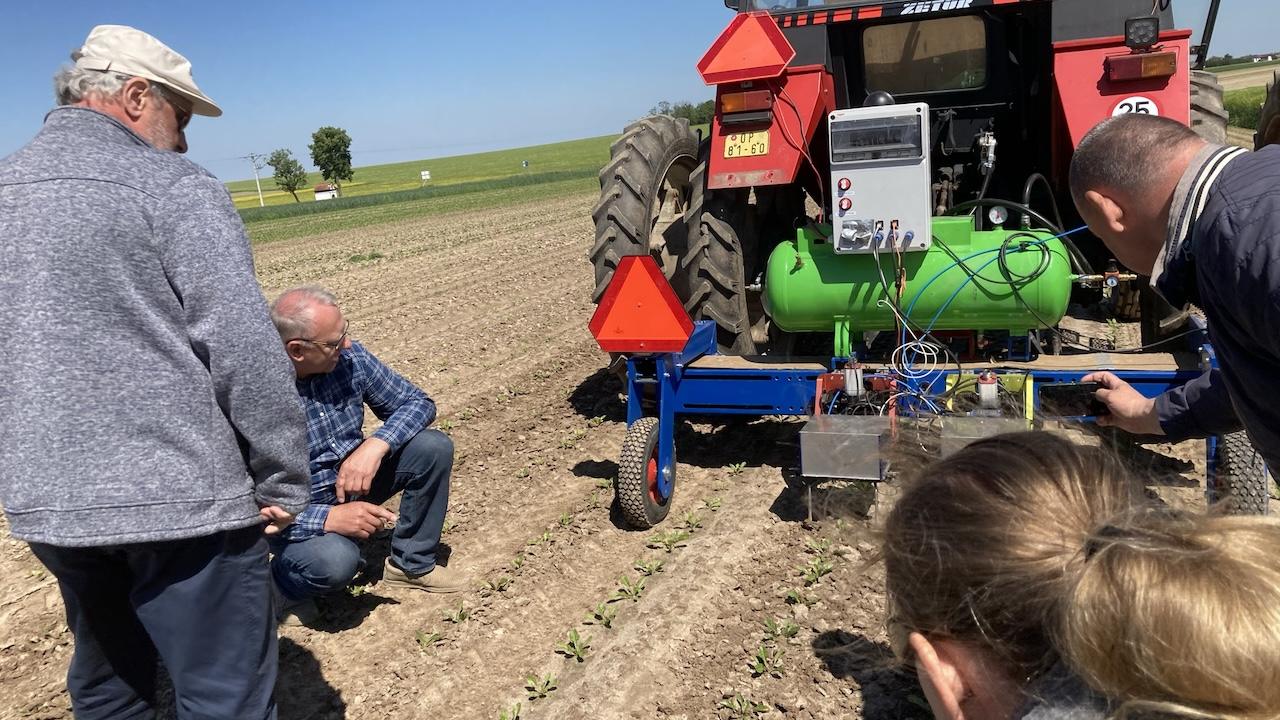 Test Farms dają dobre plony