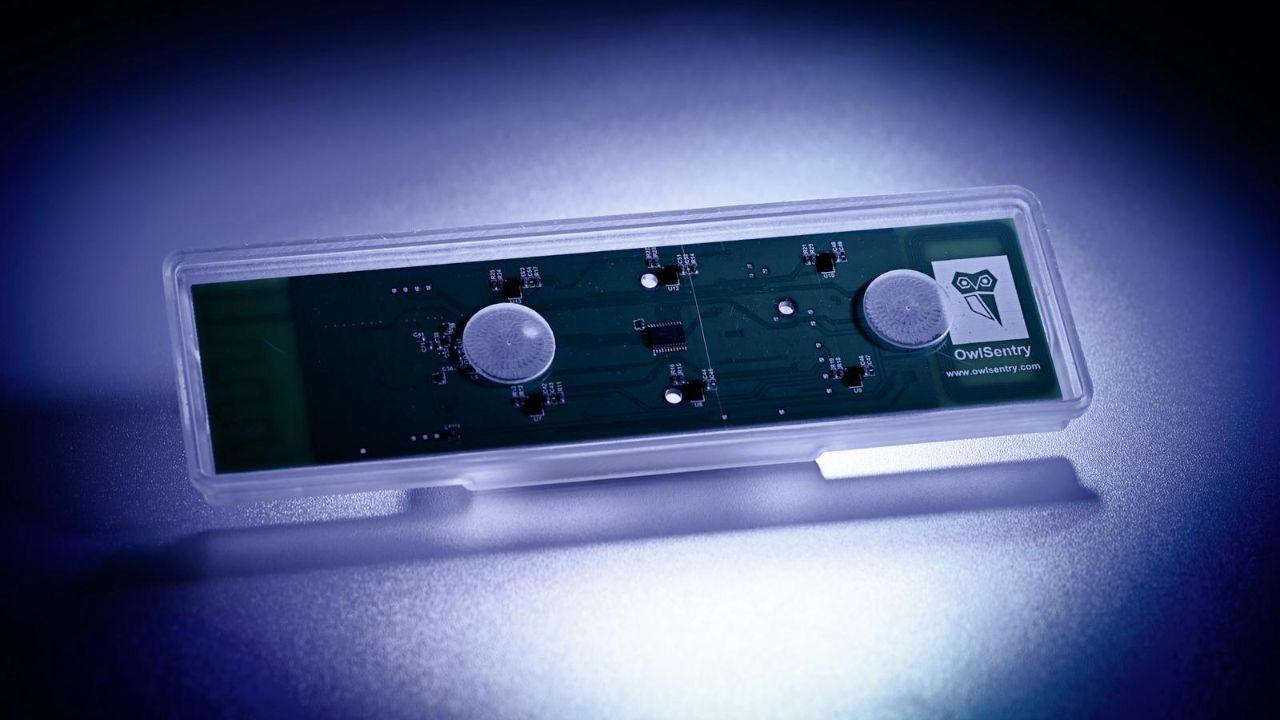 AI uwolni miasta od plag szczurów? Polski startup pomoże zwalczać gryzonie