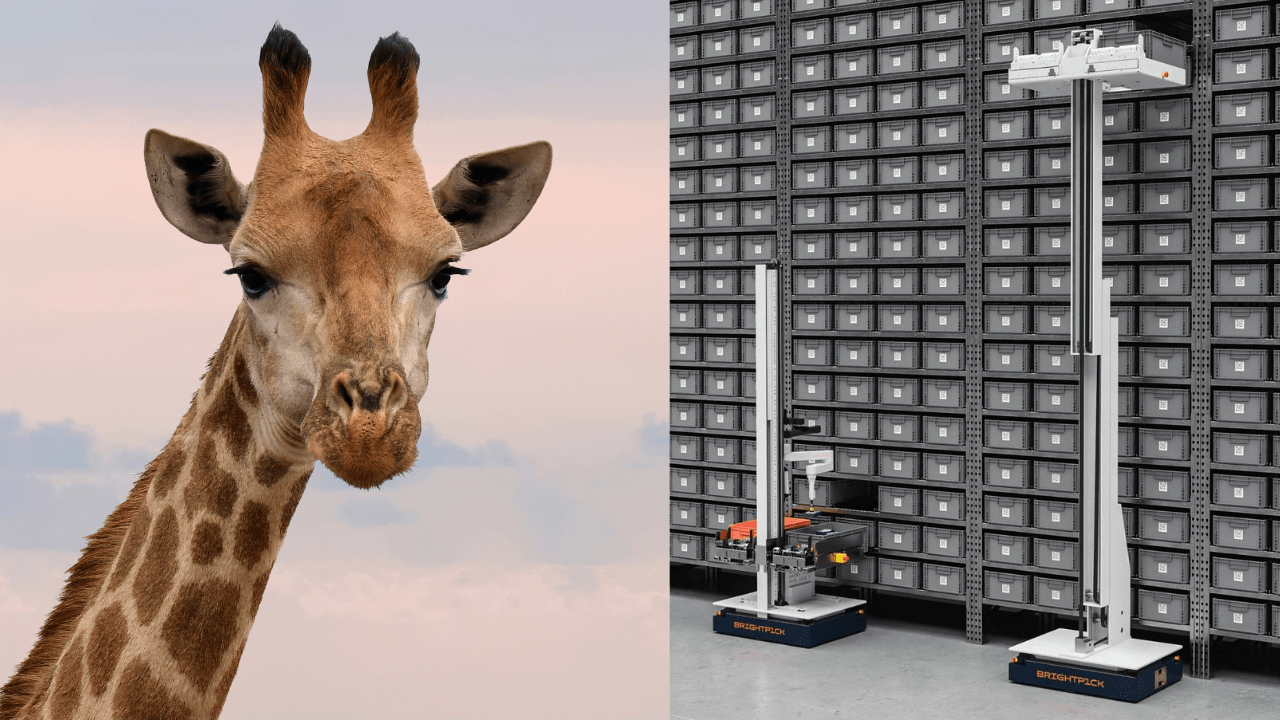 Automatyzacja magazynów wkracza na nowe wysokości – oto Giraffe od Brightpick