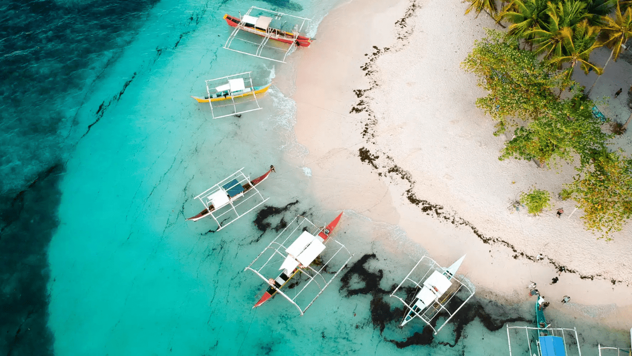 Pod rządami AI, czyli o wyspie z cyfrowym rządem