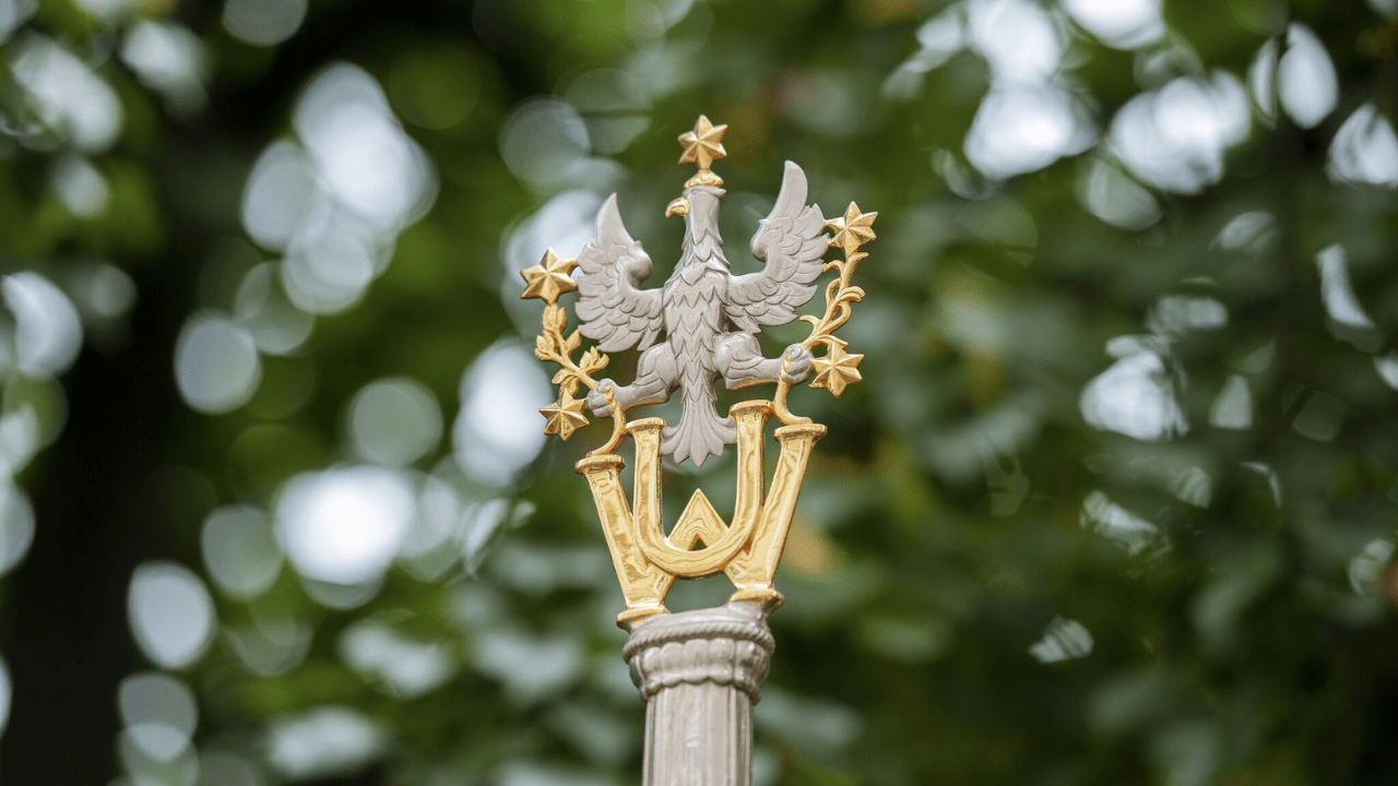 Przełom w walce z alergiami pokarmowymi? UW i The Heart komercjalizują innowacyjną terapię