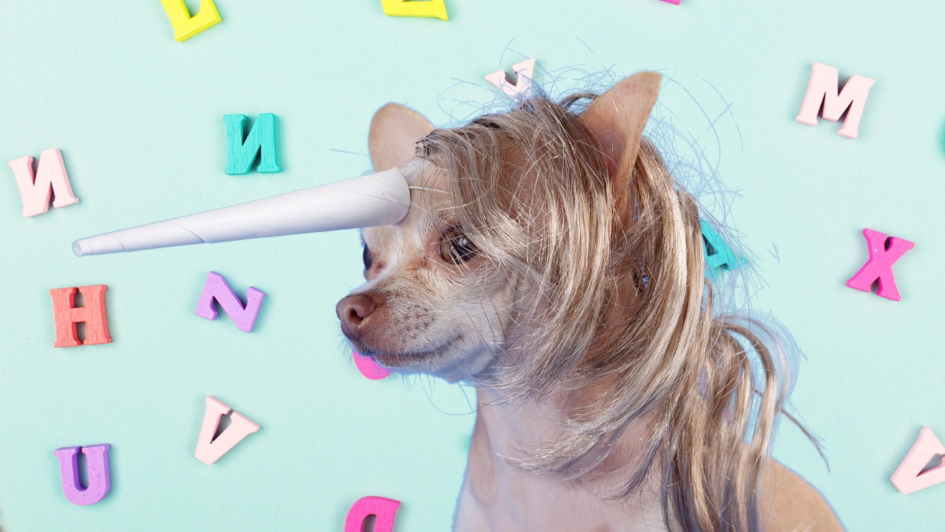 Alfabetyczny przegląd trendów: co zadziało się w 2025 roku?