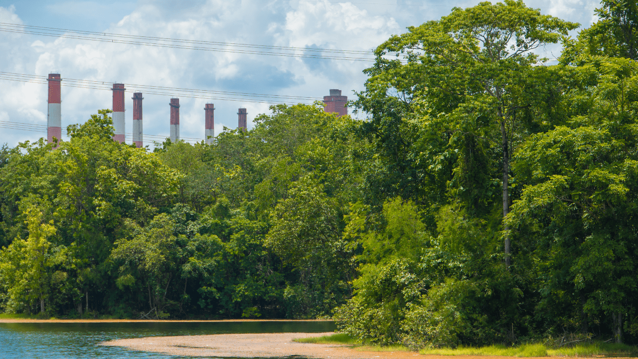 Banki ścigają się na ekologię. ING udostępnia darmowy kalkulator śladu węglowego dla wszystkich