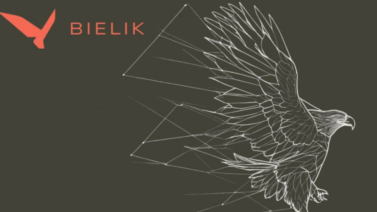 Czy prywatny kapitał i „suwerenne AI” to dobre połączenie, czyli czy w gnieździe Bielika AI znajdzie się miejsce dla Rafała Brzoski