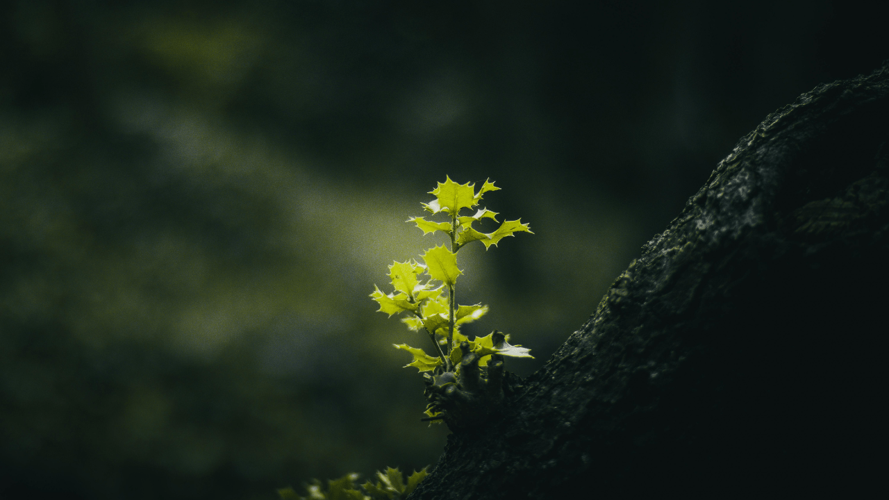 Holcim Polska wspiera międzynarodowy projekt AGH dotyczący gospodarki obiegu zamkniętego w sektorze kosmicznym