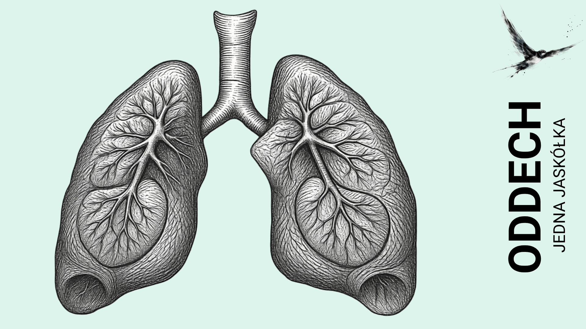 Jedna jaskółka: Oddech